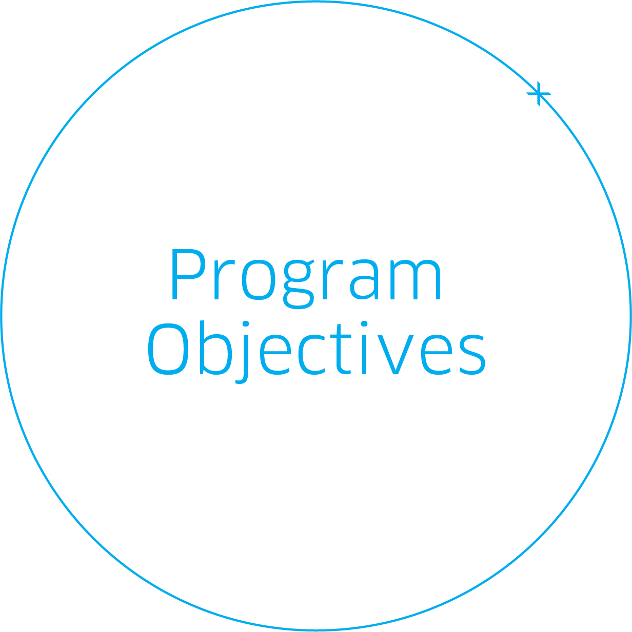 Program Objectives